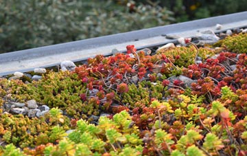 the cost of Keenley green roof installation