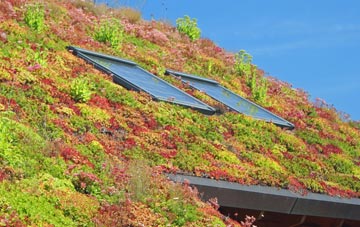 Keenley living roof systems